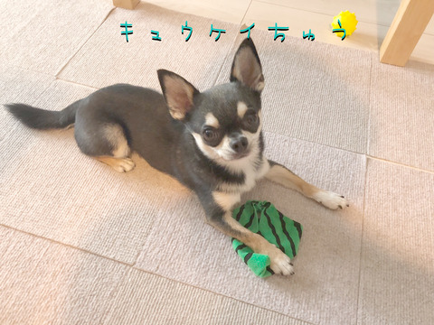 87CBCAFE-080C-4087-84D3-3F73D21A34F1