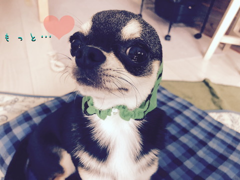 BFE57406-C12D-47E5-80D7-C524F822724A