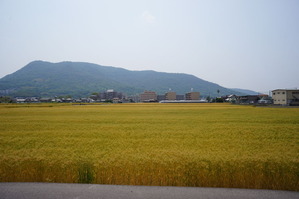DSC01292