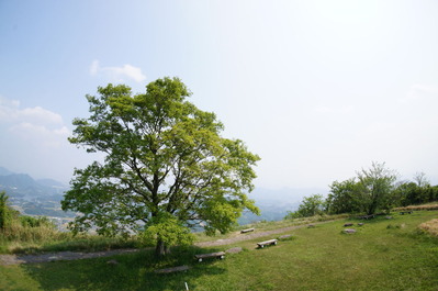 DSC01304