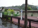 笹の葉1