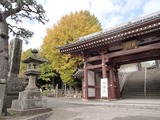 波平 龍口寺
