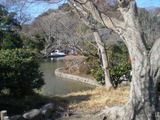 アジ 平家池