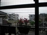 アルカダッシュ 海