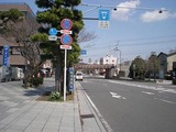 スマイルドッグ 若宮大路
