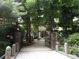 紫 葉祥明