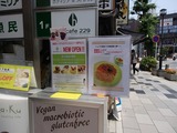 hal229 NEWOPEN