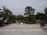 あら珠 鶴岡八幡宮