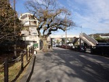 SJO 歩道橋
