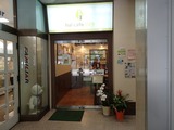 hal229 入口