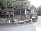 鉢の木カフェ 店