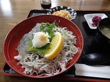 義経庵 しらす丼