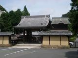 鎌倉SAKURA 建長寺