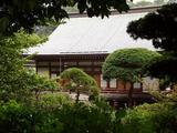 報国寺 寺