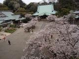 キコリ食堂 光明寺