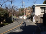 ティーサロン鎌倉山倶楽部 桜並木