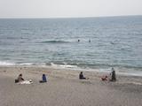 ビルズ 浜辺