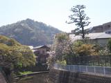 川正 森戸川