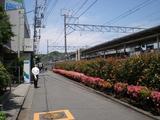 かけはし ホーム沿いの道