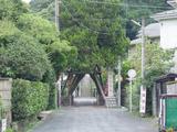 権五郎鮨 荏柄天神