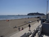 フィールアロハ 海