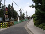 紫 円覚寺前2
