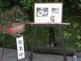 吉野 看板