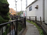 Luonto 路地