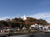 茶のみ処 大船軒 大船観音