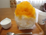 埜庵 マンゴー