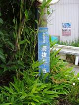 和樂(2)
