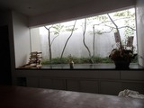 空花 カウンターから