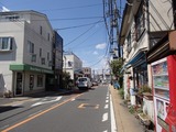 コキア 鎌倉街道