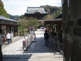 鉢の木カフェ 建長寺2