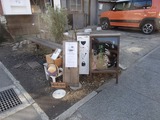こころや 道沿いの案内