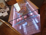 アマファソン ショーケース