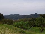 いろりや杢 葉山の山2