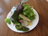 トイトイトイ 前菜