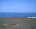a67c9425.jpg