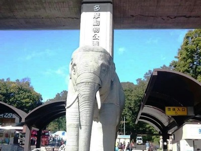 rps20181027_203317_407
