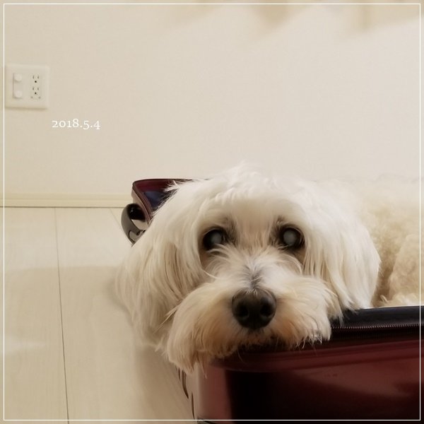 20180504_194354