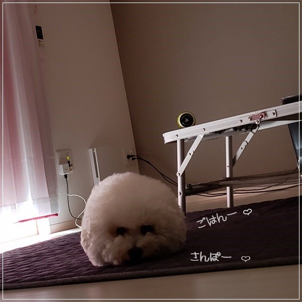 20180630_063427