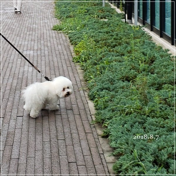 20180807_130212