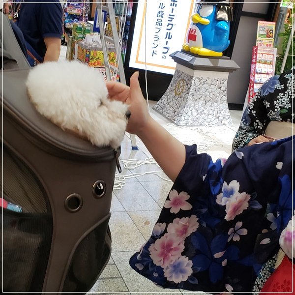 20180808_210247