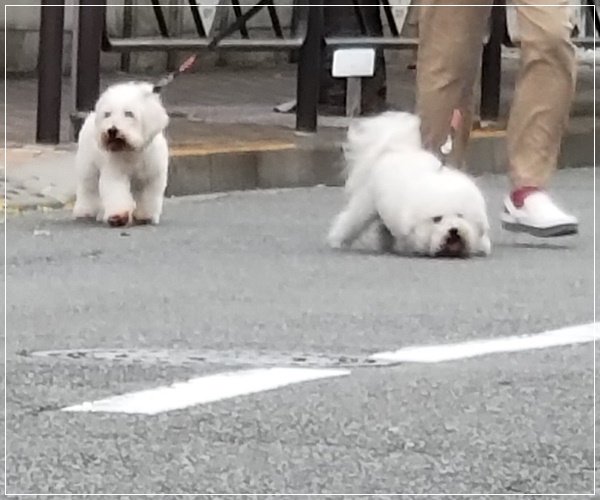 20180627_070210