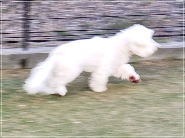 20190105_140741