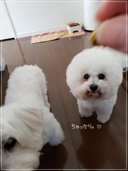 20190105_122030
