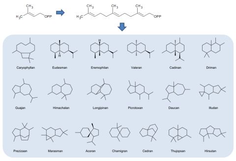 terpene