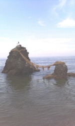 bc9f0765.jpg