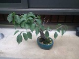 20100626-3s